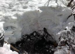 PKK'ya ait iki sığınak bulundu
