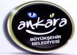 Ankara caddelerinde ağaç budama çalışmaları devam ediyor