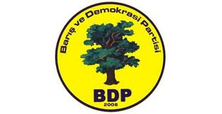 BDP'nin deprem kampanyası 'izinsiz' çıktı