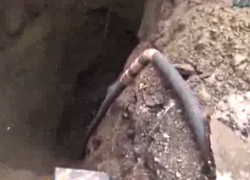 Hastane bahçesinde şaşırtan kemikler