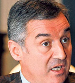 ''Girişimleriniz istikrar ve barışa hizmet ediyor''