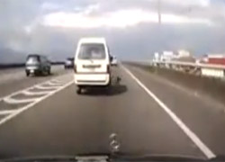 Köpek Camdan Düştü