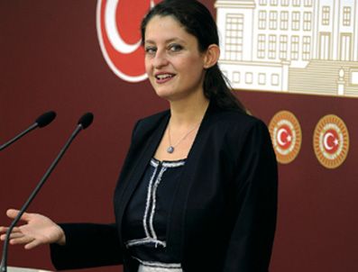 CHP'li Pavey'e ABD'den ödül