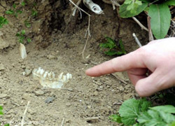 Şehit kemiklerine gençler sahip çıkacak