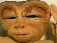 HOMOTİ ABD'DE İLGİ GÖRDÜ