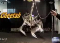 BU ROBOT HIZ REKORU KIRDI
