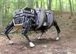 ORDUDA ROBOT KÖPEK DÖNEMİ