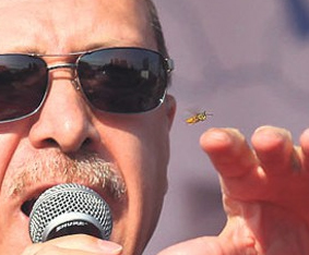 ERDOĞAN'IN ARI İLE İMTİHANI