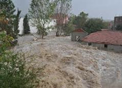 TRAKYA SELE TESLİM