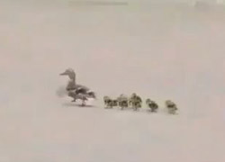 DERİNDEN BİR OHH ÇEKECEKSİNİZ