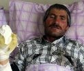 Kurdun Kulağını Isırarak Arkadaşlarını Kurtadı