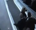 CHP'yi Fena 'Ti'ye Aldılar