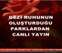 HALK TV'den Yine Rezalet