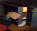 Kediyi Mikrodalga Fırına Attı!