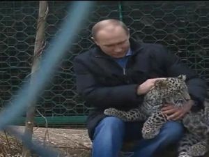 Putin'in 'İranlı" Leopar Sevgisi