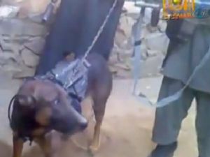 Coniler Malzemeyi ve Köpeği Taliban'a Kaptırdı