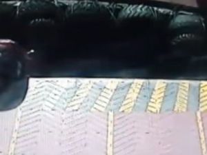 Sirkeci Faciasının Olay Anı Görüntülendi!