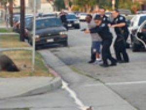 Amerika'da Bir Gözaltı Olayı