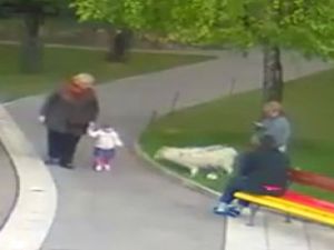 Hayvanat Bahçesinde Kurt Dehşeti