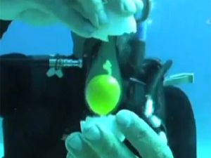 Suyun Metrelerce Altında Yumurta Kırarsanız Ne Olur?