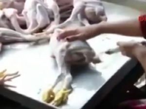 Yuh Artık! Görenleri Şok Etti