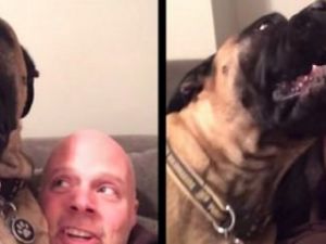 Köpeğin Yılbaşı İsyanı!