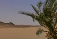 CAGRI FILM MUZIGI