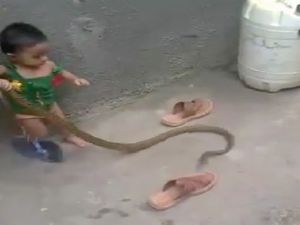 Yılanla Oynayan Küçük Kız