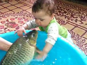 Sazan Balığı İle Oynayan Bebek!