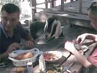 BU KECI DIGERLERINDEN FARKLI