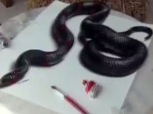 Gözlerinize İnanamayacaksınız!