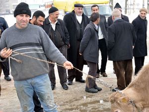 Sanatçının Sahneden Hayvan Pazarına Ekmek Kavgası!