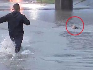 Muhabir, sel sularına kapılan adamı böyle kurtardı