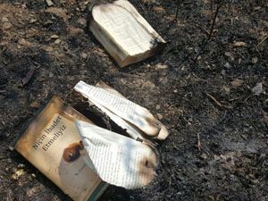 Gülen'in kitaplarını imha ederken ormanı yaktılar